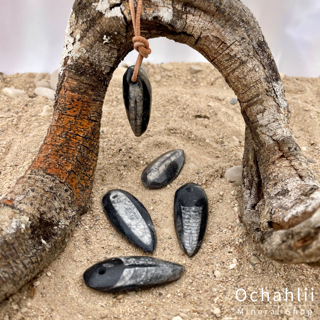 Orthoceras doorboorde hanger