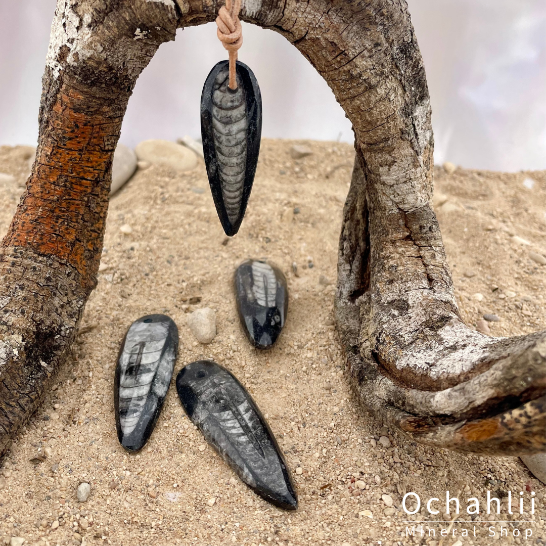 Orthoceras doorboorde hanger