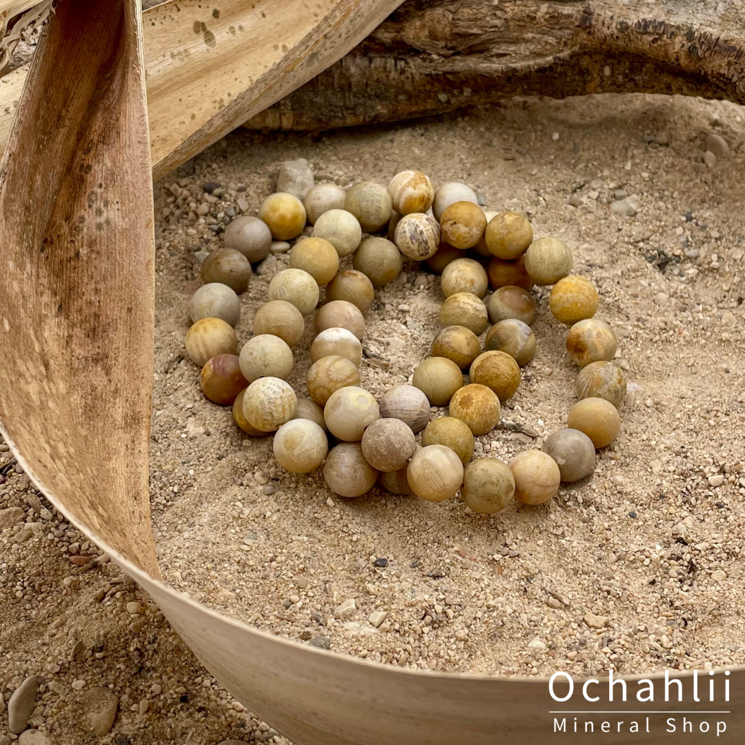 Petrified coral bracelet 10mm
