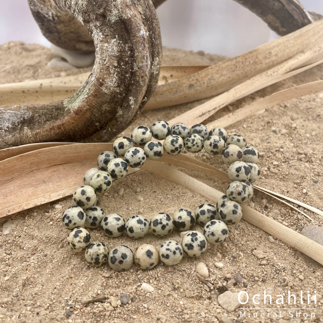 Dalmatian bracelet 2025